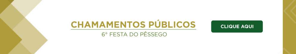 Chamamento Pblico