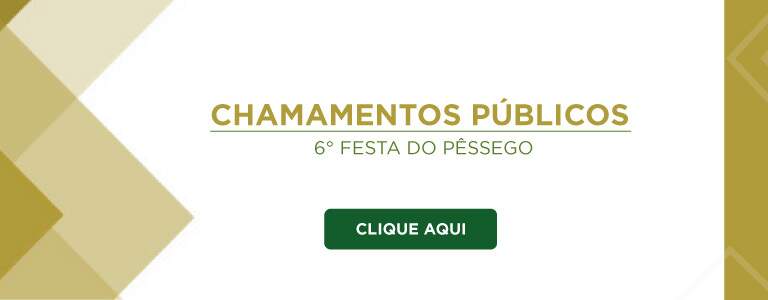 Chamamento Pblico